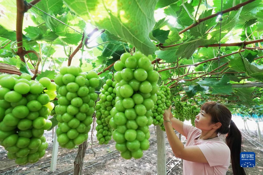 汇丰国际开户送58